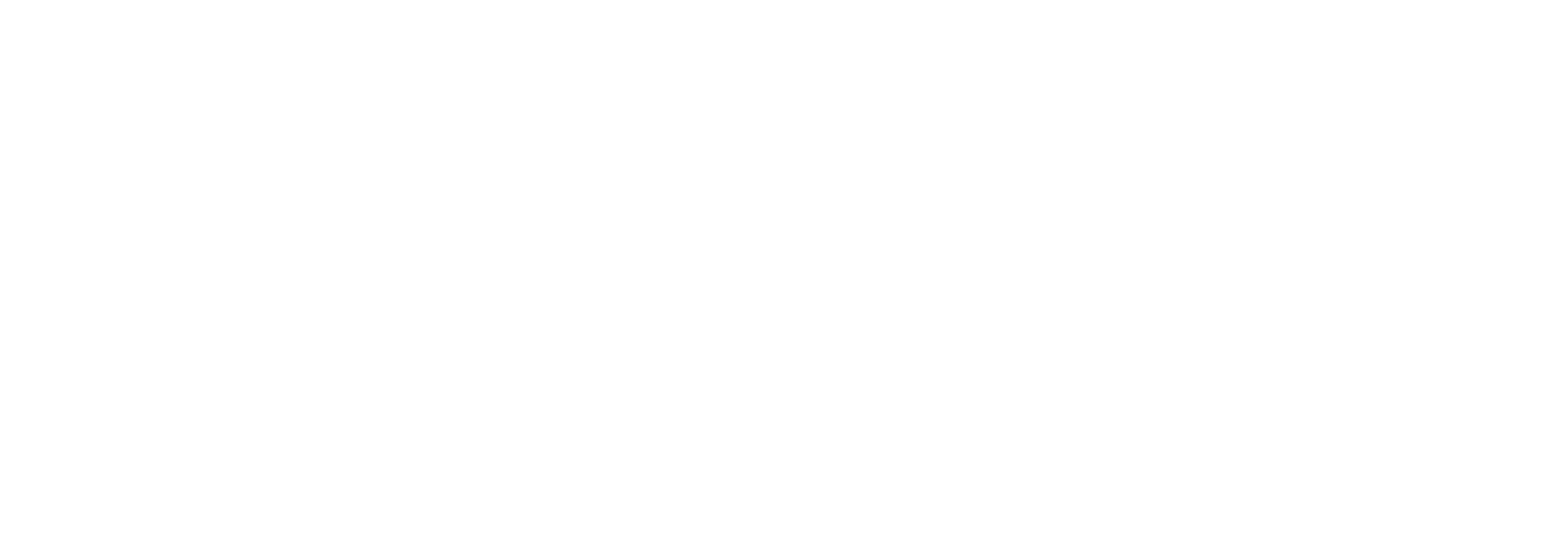 VIPA Logo